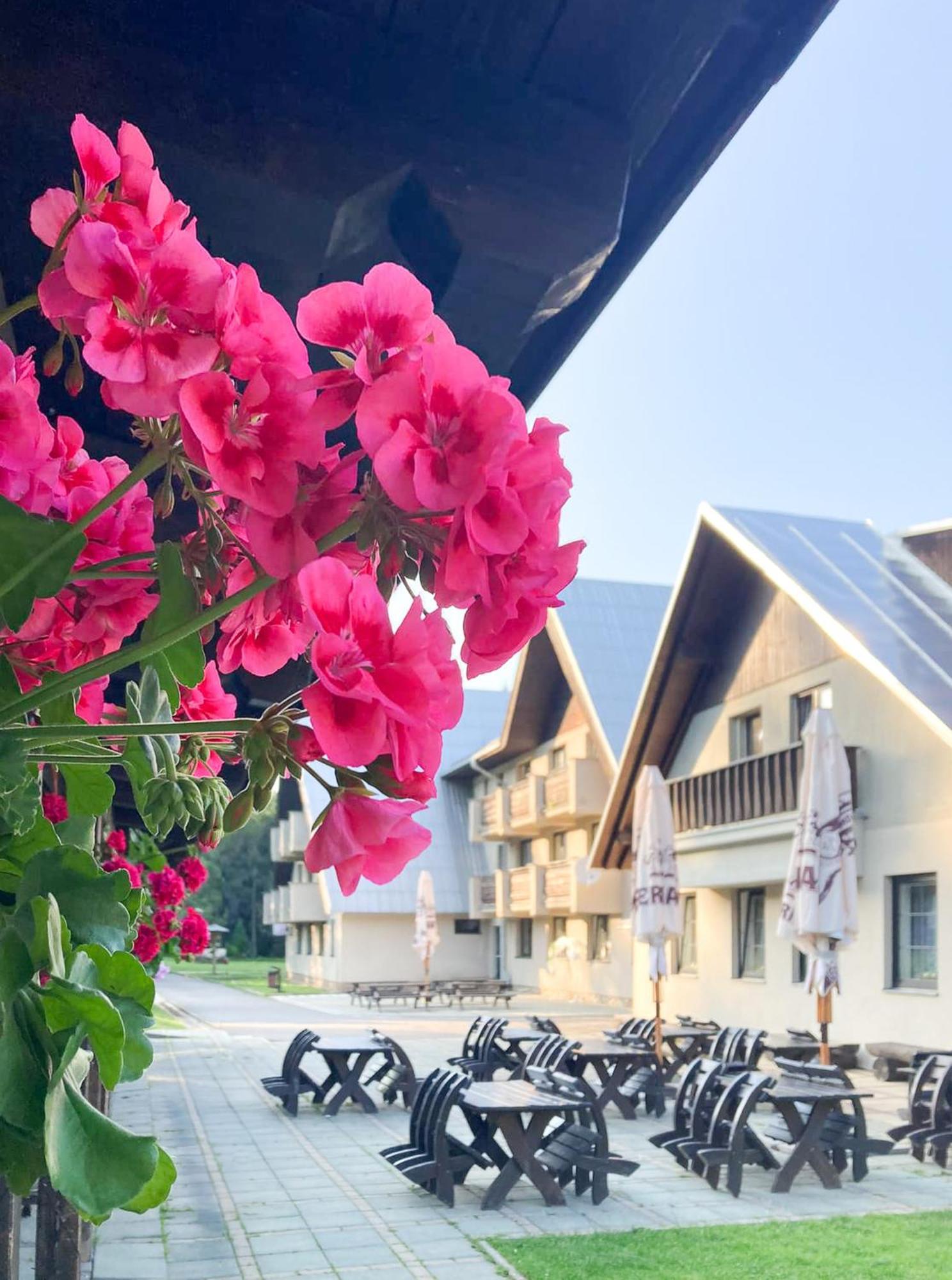 Hotel Hornik Zdar Nad Sazavou Exterior photo