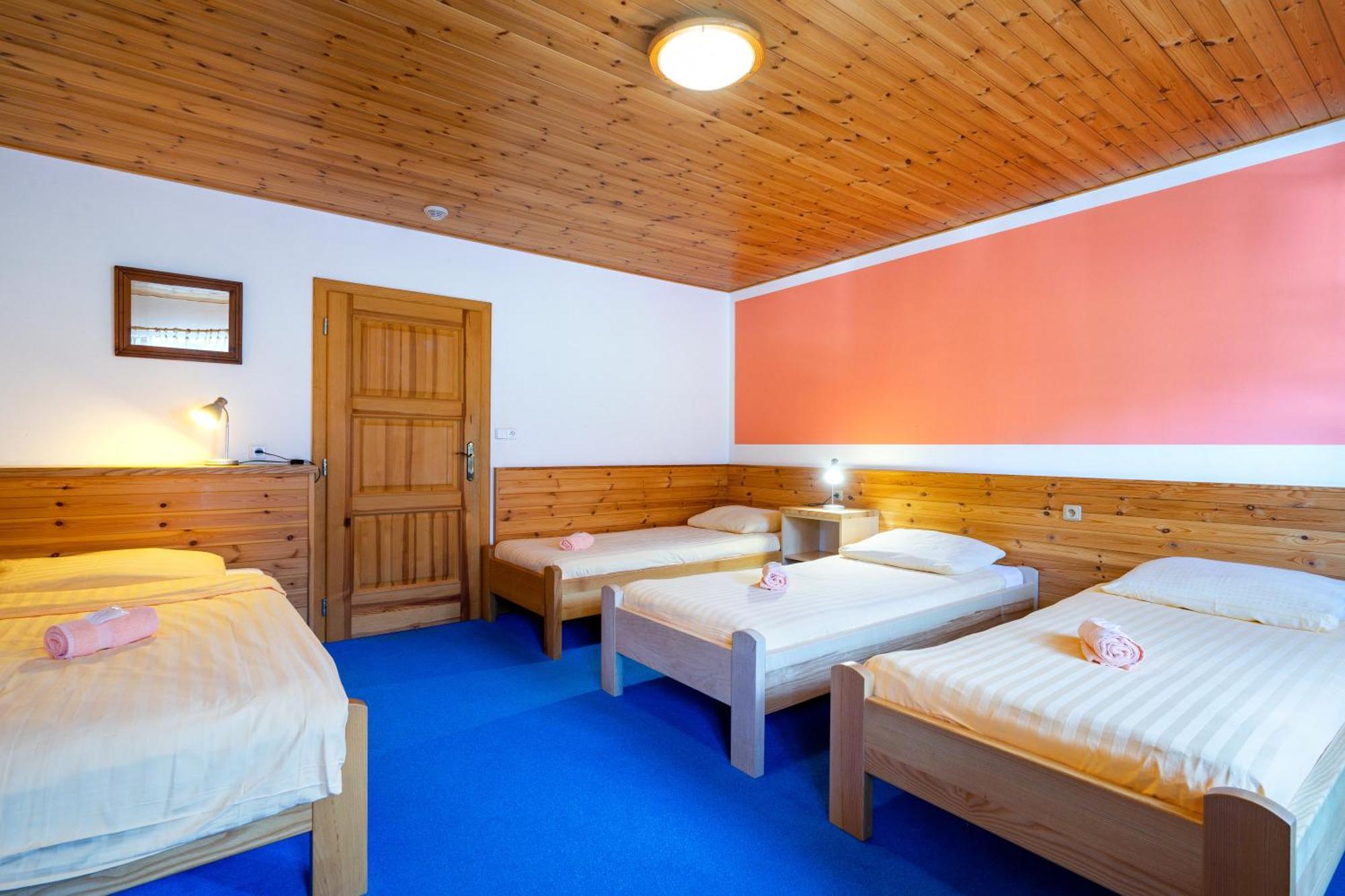 Hotel Hornik Zdar Nad Sazavou Exterior photo