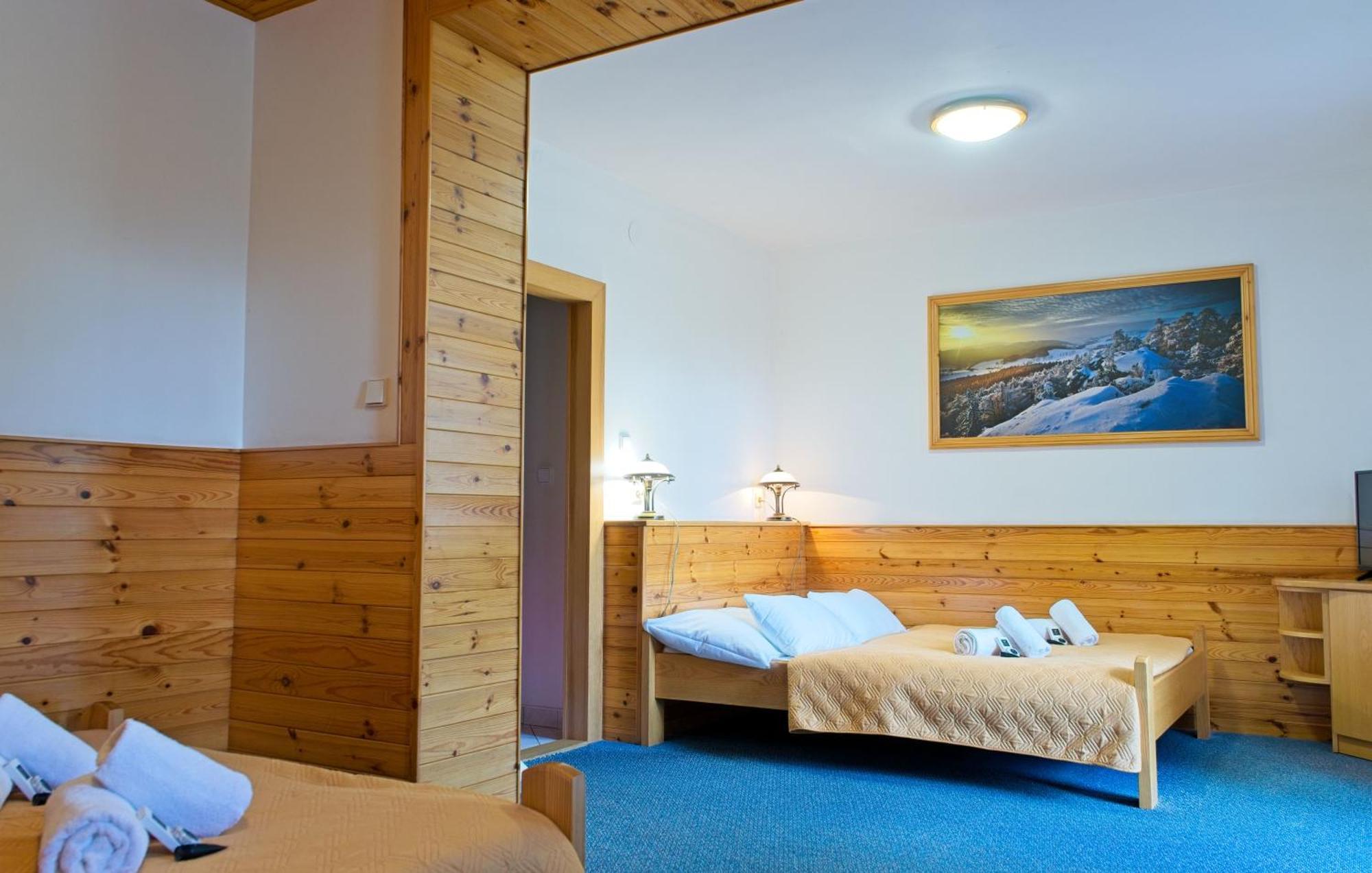 Hotel Hornik Zdar Nad Sazavou Room photo