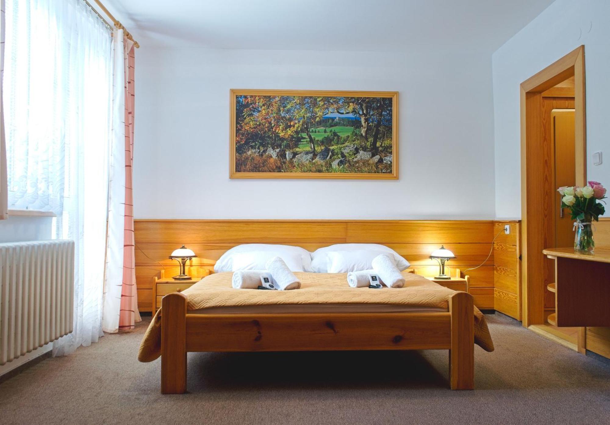 Hotel Hornik Zdar Nad Sazavou Room photo